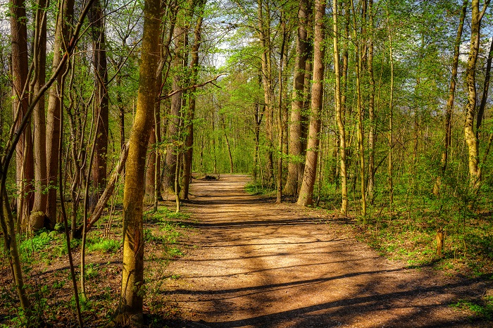 Wanderwege Isarauen